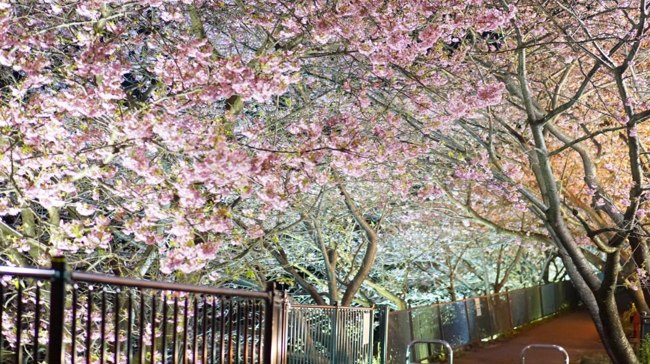 Zen No Yu Hotel Kawazu Exterior photo